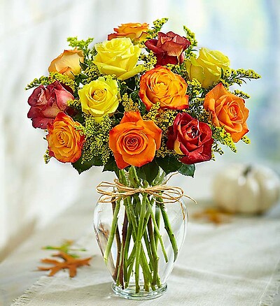 Rose Elegance&amp;trade; Premium Long Stem Autumn Roses